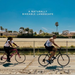 people riding their bicycles